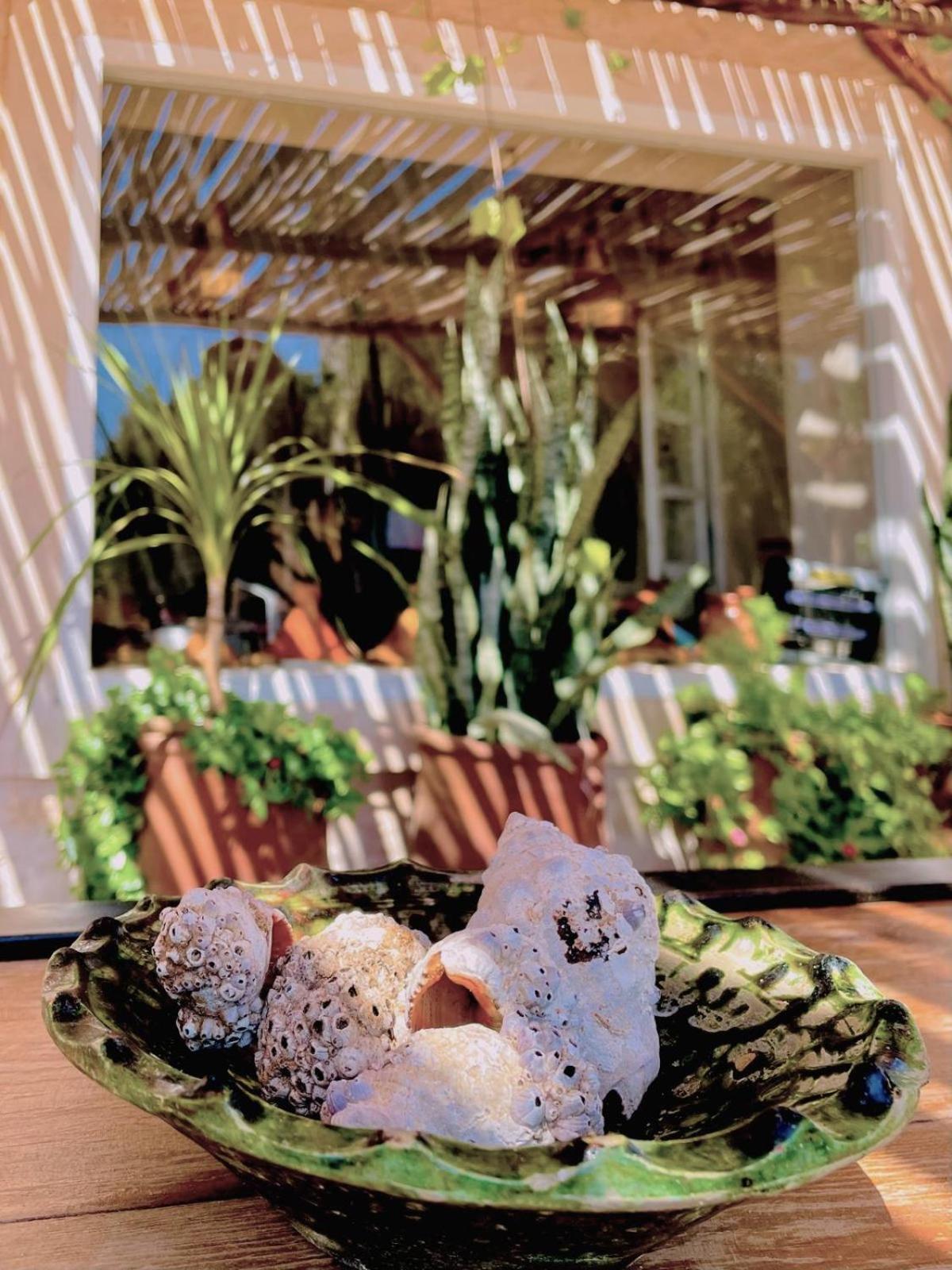 Riad Sabidi エッサウィラ エクステリア 写真